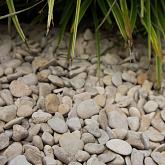 Snoei Tuinmaterialen