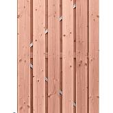 Douglas plankendeur geschaafd blank (1,6x14) stalen frame 100x195cm
