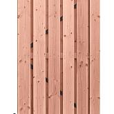 Douglas plankendeur geschaafd blank (1,6x14) zwart stalen frame 100x195cm