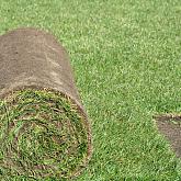 m² Graszoden speelgras (250x40cm)