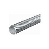 Draadeind verzinkt M12 200cm