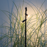 Aim (80cm) (verwacht Q3 2026)