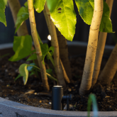 Aim extra low (16cm) (verwacht Q3 2026)