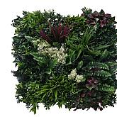 Greenwall Botanic C 50x50cm (K008C)