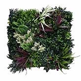 Greenwall Tropic A 50x50cm (K002A)