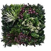 Greenwall Tropic B 50x50cm (K002B)