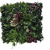 Greenwall Tropic C 50x50cm (K002C)