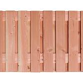 Douglas 21-plankenscherm geschaafd blank (1,6x14cm) 180x90cm