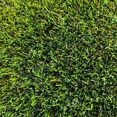 Kunstgras Green Delta (50mm) 400cm breed