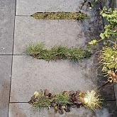 O.H. ECO Tegel Grijs langwerpig 100x50x7cm