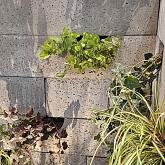 O.H. Groenwandelement Grijs t.b.v. beplanting 100x20x20cm