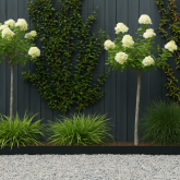Kantopsluiting Zwart single 300x10cm