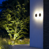 Disc Wall