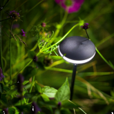 Mini Sway 100 black