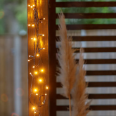 Partylights linea all seasons 12V 10m¹ (excl. Connector F 137A)