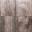 Premiton Plus XXS Tenerife select 60x60x4cm