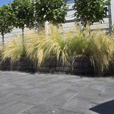 promoton antraciet getrommeld 20x30x6cm