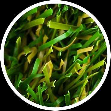 natuurlijk kunstgras eco extra 400cm breed