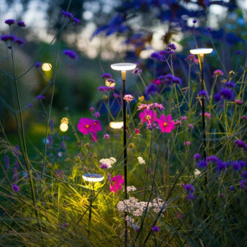 mini sway extra low 35 black