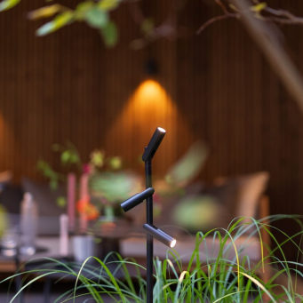 aim 80cm verwacht q3 2026 