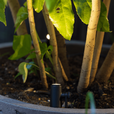 aim extra low 16cm verwacht q3 2026 