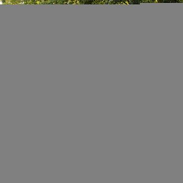 bloembak modulair antraciet 150x90x56cm