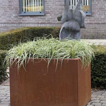 bloembak vlak corten 210x210x60cm