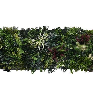 greenwall botanic c 50x50cm k008c 