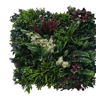 greenwall botanic c 50x50cm k008c 