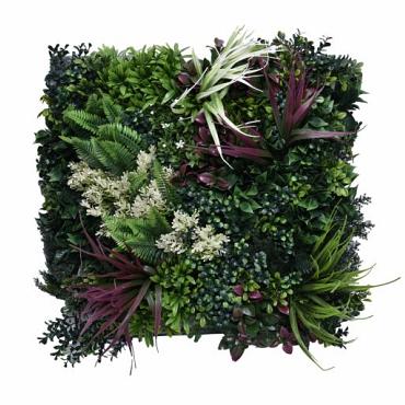 greenwall tropic a 50x50cm k002a 