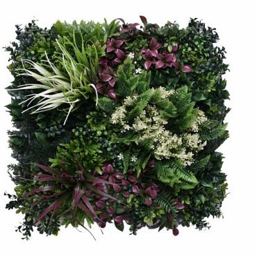 greenwall tropic b 50x50cm k002b 