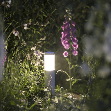 liv low 37 ros silver