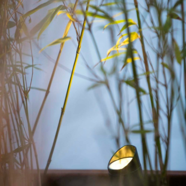 shield 1 t.b.v. mini scope