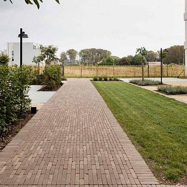 wf gebakken theems getr. 20x5x6cm 98st 