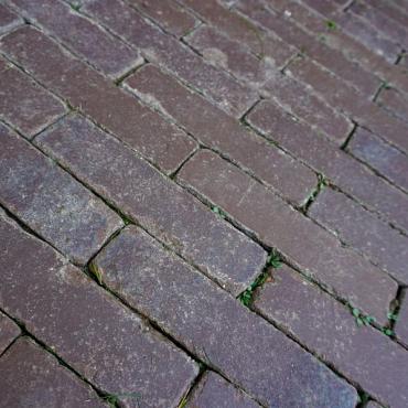 wf gebakken elena getr. 20x5x6cm 99st 