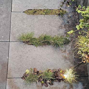 o.h. eco tegel grijs langwerpig 100x50x7cm