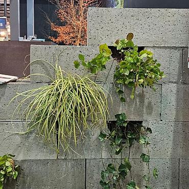 o.h. groenwandelement grijs t.b.v. beplanting 100x20x20cm