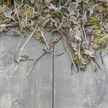 geoceramica timber grigio 80x40x4cm uit assort 2026 