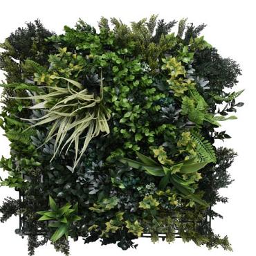 greenwall botanic a 50x50cm k008a 