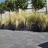 promoton antraciet getrommeld 20x30x6cm