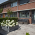 geostretto plus lazise 60x30x6cm uitlopend 2025