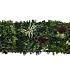 greenwall botanic c 50x50cm k008c 