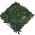 greenwall botanic c 50x50cm k008c 