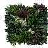 greenwall botanic c 50x50cm k008c 