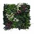 greenwall tropic a 50x50cm k002a 