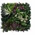 greenwall tropic b 50x50cm k002b 