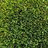 kunstgras green delta 50mm 200cm breed