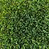 kunstgras green river 45mm 400cm breed douwe 2.0