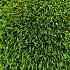 kunstgras green nature 48mm 200cm breed