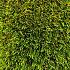 kunstgras green wave 50mm 200cm breed